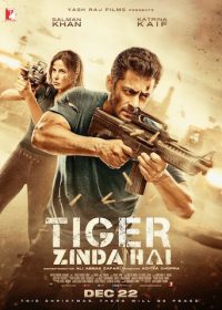 Tiger Zinda Hai 2017