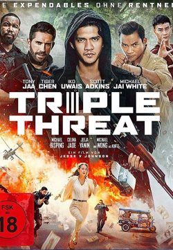 Triple Threat (2019) English 300MB HDRip 480p x264